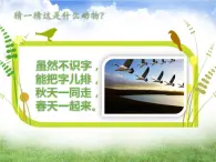 人音版四年级上册第二课课件《大雁湖》 (1)