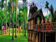 人教版音樂(lè)三年級(jí)下冊(cè) 月光下的鳳尾竹 課件PPT+教案+素材