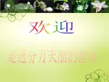1.《茉莉花》课件湘艺版四年级上册