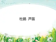 蘇少版音樂(lè)三下 第四單元 杜鵑 蘆笛 課件