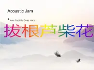 蘇少版音樂(lè)五下《拔根蘆柴花》 課件
