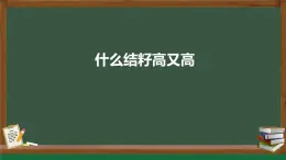 湘藝版 六年級下冊 音樂課件 第七課 什么結(jié)籽高又高
