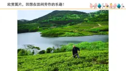 人音版小学音乐 四上第2课《杨柳青》课件