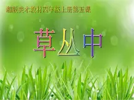 湘美版 四年级美术上册 第5课 草丛中 课件（15张PPT）