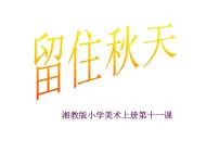 湘美版三年级上册第11课 留住秋天课文配套ppt课件