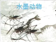 湘美版五年级美术上册 第6课 水墨动物课件PPT