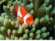 苏少版 四年级美术上册 8.做做海洋生物 课件