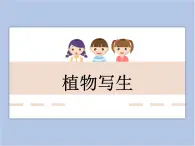 美術(shù)冀美版小學(xué)三年級(jí)下冊(cè)6《植物寫生》課件