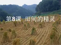 田間的精靈PPT課件免費(fèi)下載