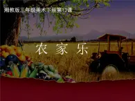 湘美版 三年级美术下册 13.农家乐 课件