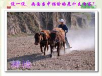 小學(xué)美術(shù)人美版四年級(jí)下冊15.學(xué)畫農(nóng)民畫說課ppt課件