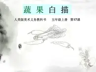 第17課蔬果白描 課件 人美版（北京） 五年級上冊美術(shù)