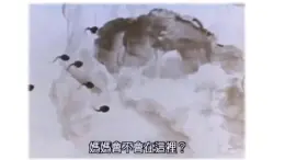 第18課.電腦美術(shù)-做個動畫片  課件 人美版（北京） 五年級上冊美術(shù)