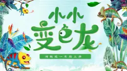 湘美版小學(xué)美術(shù)一上 第四單元 3 小小變色龍 課件