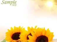 北師大心理健康五上 第13課 學(xué)會(huì)健康的溝通 課件PPT