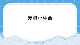 25《愛惜小生命》課件