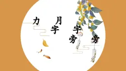 第6課《月字旁力字旁》課件+教案