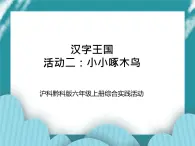 六年級(jí)上冊(cè)綜合實(shí)踐活動(dòng)課件+教案-第五單元 漢字王國(guó) 活動(dòng)二：小小啄木鳥(niǎo)∣ 滬科黔科版