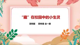 深圳版綜合實(shí)踐活動(dòng)指引四年級 第二單元“藏” 在校園中的小生靈 課件+素材