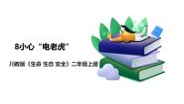 生命·生態(tài)·安全人教川教版·二年級上冊8 小心“電老虎”優(yōu)秀ppt課件
