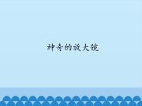 小學(xué)信息技術(shù)冀教版五年級(jí)上冊(cè)第二單元第7課 神奇的放大鏡教案配套課件ppt
