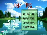 三年級上冊信息技術(shù)課件-單元2 活動4 小小設(shè)計師 拓展制作  西師大版(共7張PPT)
