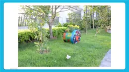 桂科版信息技术四年级下册 任务二 加工图像 课件+教案