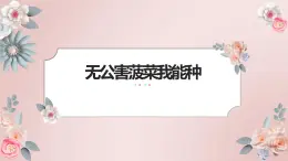 人教版小學(xué)四年級(jí)勞動(dòng)同步課件九無公害菠菜我能種