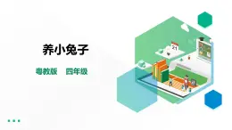 【粵教版】四年級(jí)全一冊(cè)《勞動(dòng)與技術(shù)》第四單元  活動(dòng)二《養(yǎng)小兔子》教案+課件