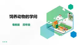 【粵教版】四年級(jí)全一冊(cè)《勞動(dòng)與技術(shù)》第四單元  活動(dòng)四《飼養(yǎng)動(dòng)物的學(xué)問(wèn)》教案+課件