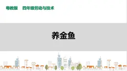 【粵教版】四年級(jí)全一冊(cè)《勞動(dòng)與技術(shù)》第四單元  活動(dòng)一《養(yǎng)金魚(yú)》教案+課件