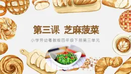 小學(xué)勞動(dòng)粵教版四年級(jí)下冊(cè)第三單元 第三課 芝麻菠菜 課件