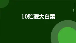 人民版勞動六年級上冊 10貯藏大白菜（課件）