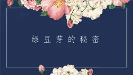 2.綠豆芽的秘密 課件 2023-2024學(xué)年小學(xué)勞動(dòng)二年級(jí)上冊(cè)（人教版）