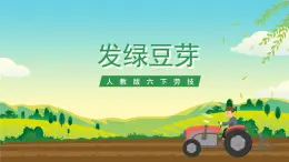 人教版六下勞技 項目三《發(fā)綠豆芽》課件+教案+素材
