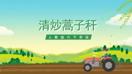 人教版六下勞技 項目八《清炒蒿子桿》課件+教案+素材