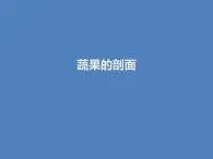 四年级上册美术：第3课 蔬果的剖面 课件+教案+素材