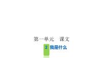 人教部編版二年級上冊2 我是什么課文ppt課件