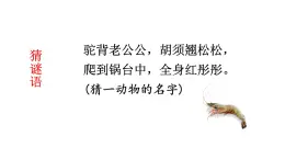 部編版（五四制）三下 15 小蝦 課件