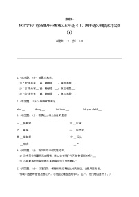 2020-2021学年广东省惠州市惠城区五年级（下）期中语文模拟练习试卷（4）