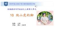 人教部編版四年級(jí)上冊(cè)10 爬山虎的腳教學(xué)課件ppt