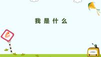 人教部編版二年級(jí)上冊(cè)課文12 我是什么授課ppt課件