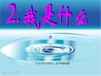人教部編版課文12 我是什么教案配套ppt課件
