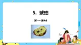 第二单元 5 琥珀 课件＋教案＋素材