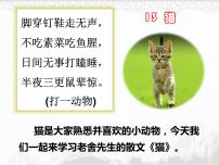 人教部编版四年级下册猫评优课ppt课件