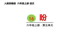 16 . 盼（课件） 六年级上册语文 2023-2024学年第一学期人教部编版
