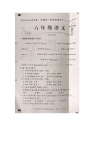 河北省石家庄市裕华区2023-2024学年六年级上学期11月期中语文试题