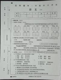 吉林省白城市通榆县育才学校第二小学联合2023-2024学年五年级上学期11月月考语文试题