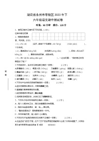 湖南省永州市零陵区2022-2023学年六年级下学期期中语文试卷