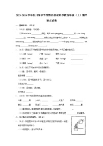 2023-2024学年贵州省毕节市黔西县星星学校四年级上学期期中语文试卷（含答案）